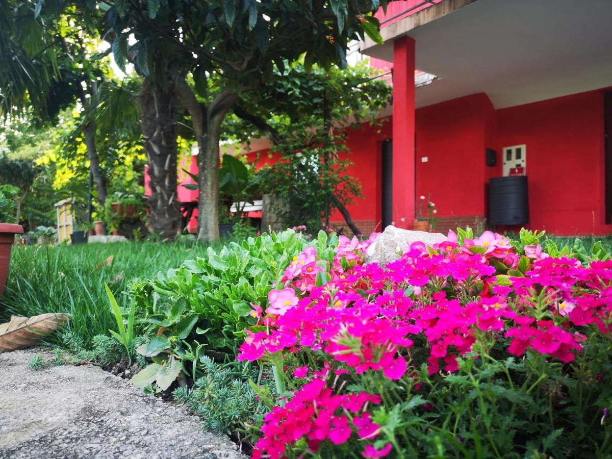 Apartments Zimerman ปอร์โตรอซ ภายนอก รูปภาพ